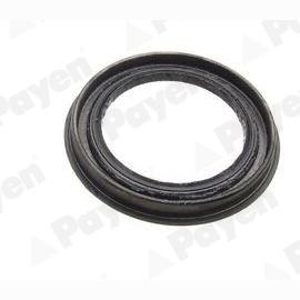 PAYEN NJ695 Wheel Hub Shaft Seal