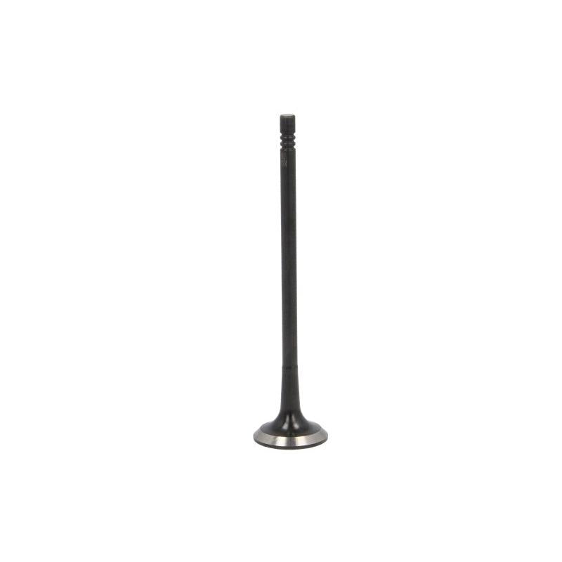 DNJ EV1174 Exhaust Valve