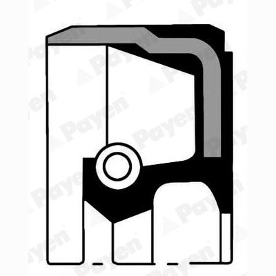PAYEN NA5070 Crankshaft Shaft Seal