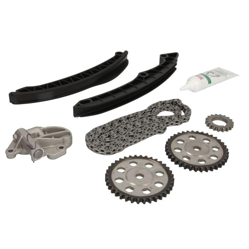 INA 559019930 Timing Chain Kit