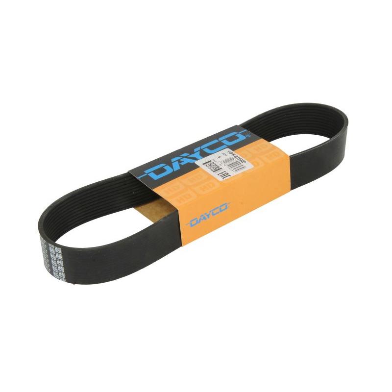 DAYCO DAY11PK815HD V-Ribbed Belt