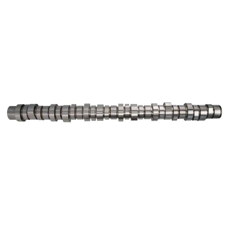 BF 20100413006 Camshaft