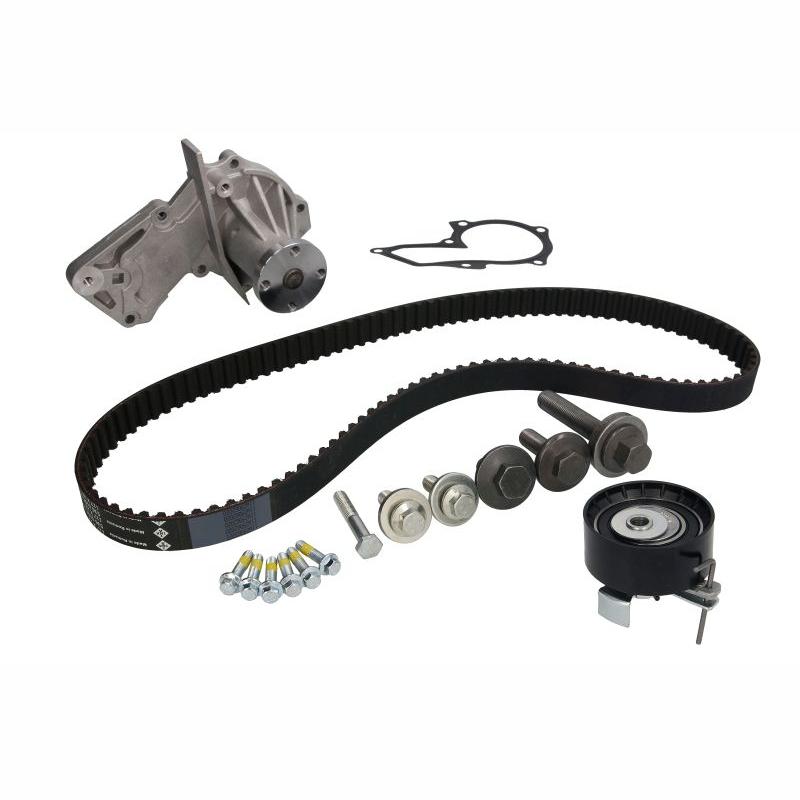 INA 530049530 Water Pump & Timing Belt Kit