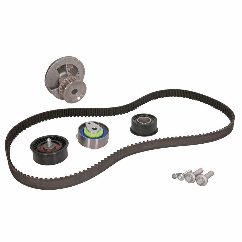 INA 530044331 Water Pump & Timing Belt Kit
