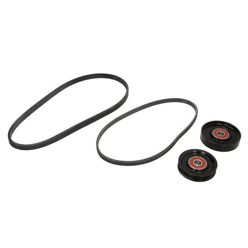 INA 529023010 V-Ribbed Belt Set