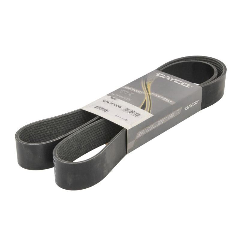 DAYCO DAY10PK1475HD V-Ribbed Belt