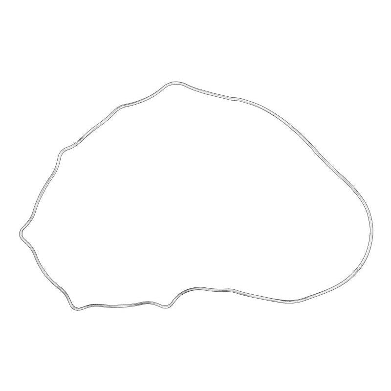 OE YANMAR 129601-11310 Cylinder Head Cover Gasket