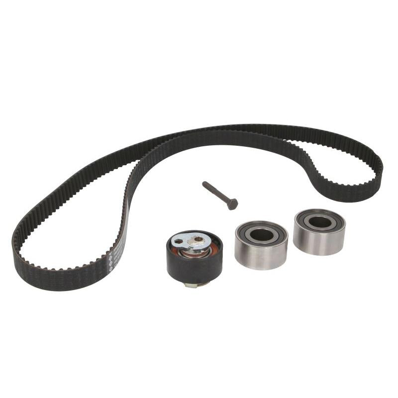 INA 530093310 Timing Belt Set