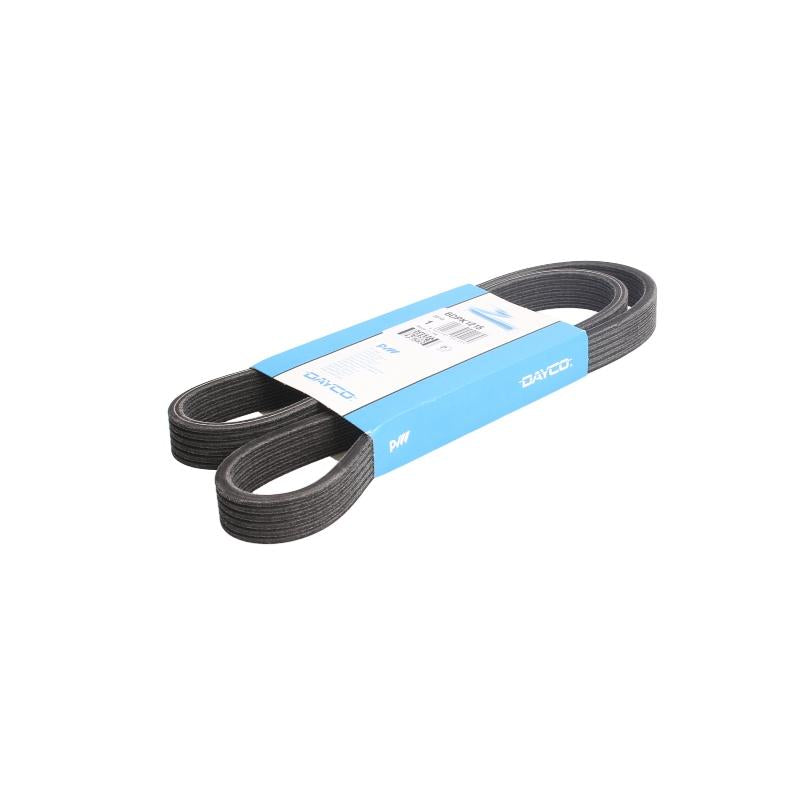 DAYCO DAY6DPK1215 V-Ribbed Belt