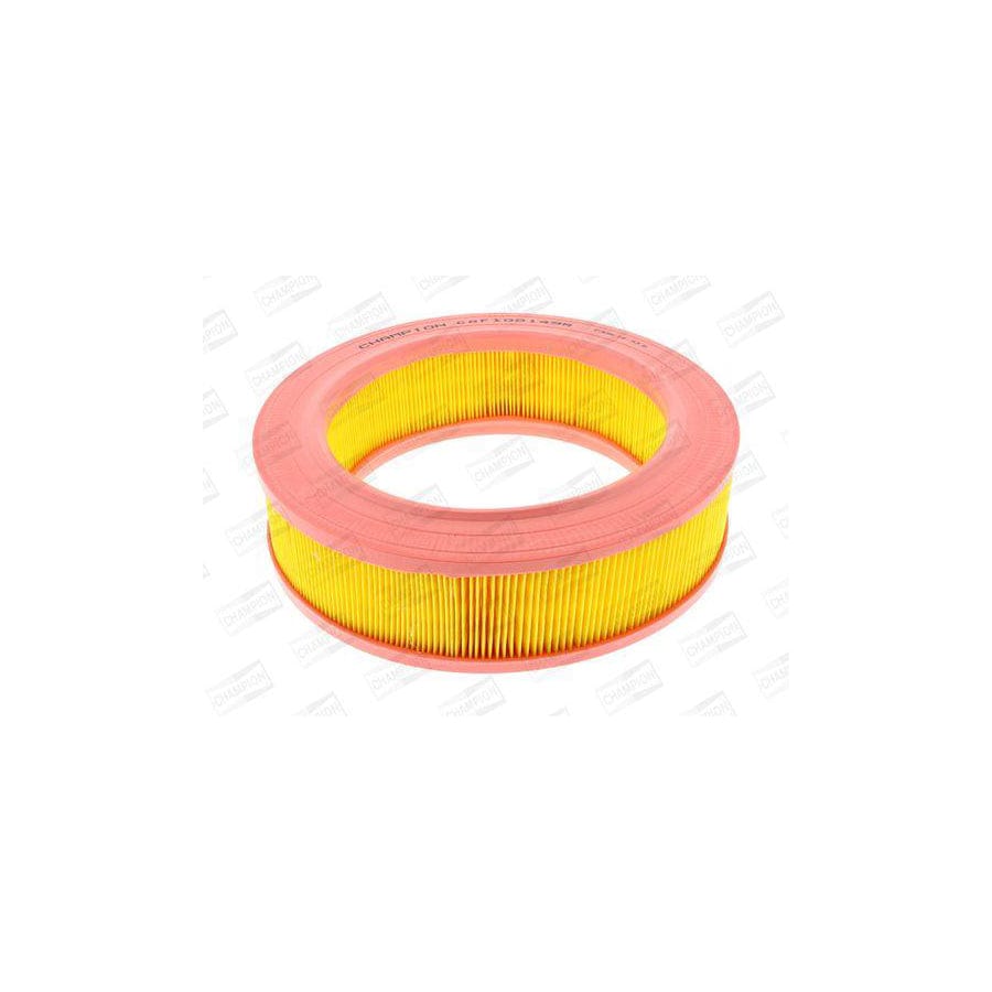 Champion Caf100149R Air Filter