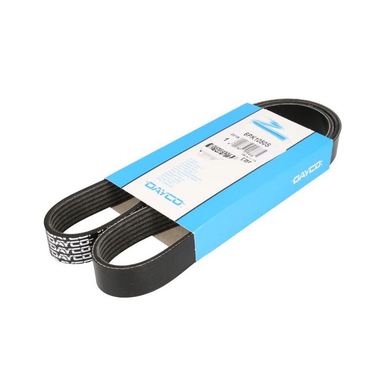 DAYCO DAY6PK1050S V-Ribbed Belt