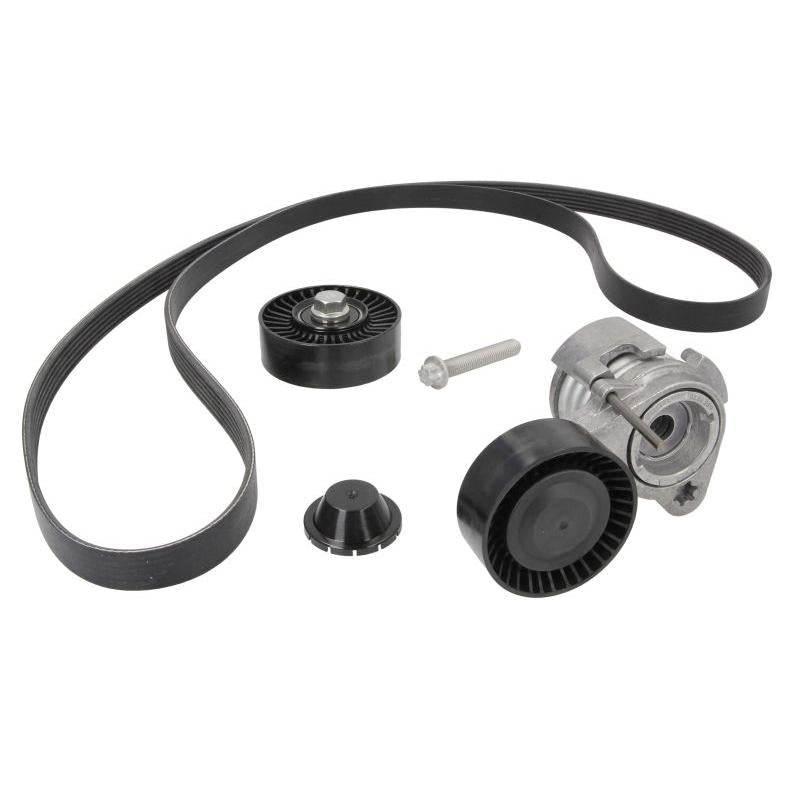 INA 529004310 V-Ribbed Belt Set