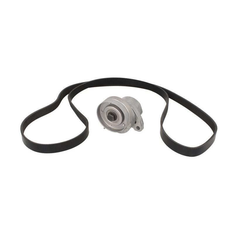 INA 529009110 V-Ribbed Belt Set