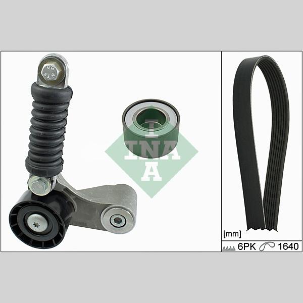 INA 529009310 V-Ribbed Belt Set