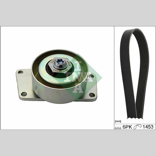 INA 529021610 V-Ribbed Belt Set