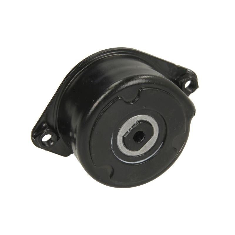 INA 534017110 V-Ribbed Belt Tensioner Lever