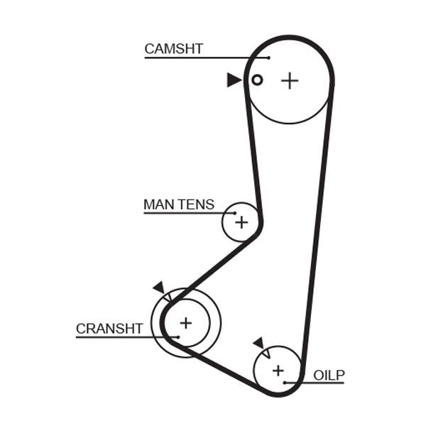 GATES GAT5372XS Timing Belt