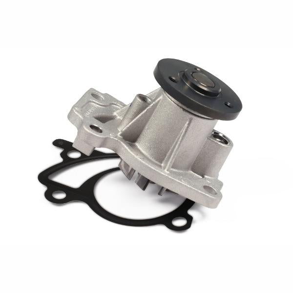HEPU P967 Water Pump