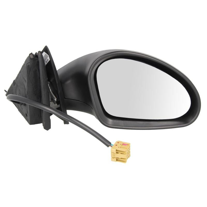 BLIC 5402-10-2002276P Side Mirror