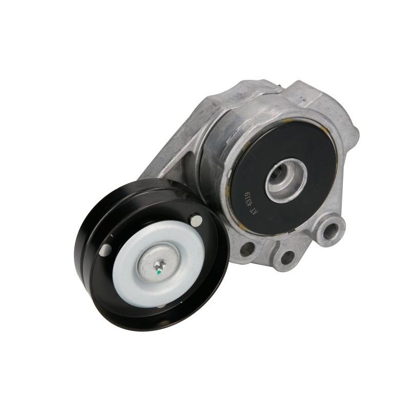 BTA E3W0009BTA V-Ribbed Belt Tensioner Lever