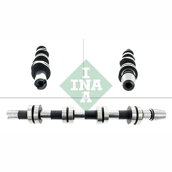 INA 428012110 Camshaft