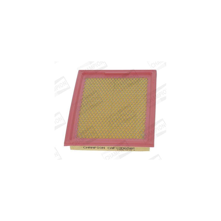 Champion Caf100604P Air Filter