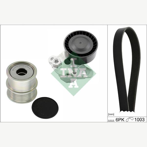 INA 529015920 V-Ribbed Belt Set