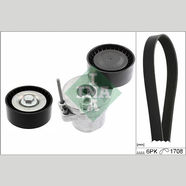 INA 529036210 V-Ribbed Belt Set
