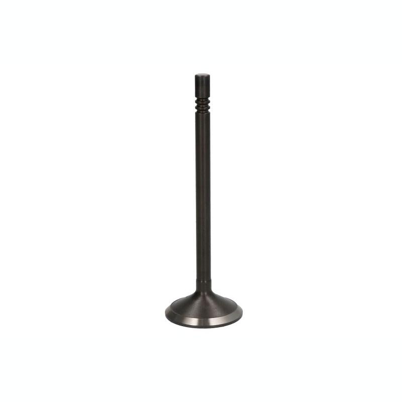DNJ EV1100 Exhaust Valve