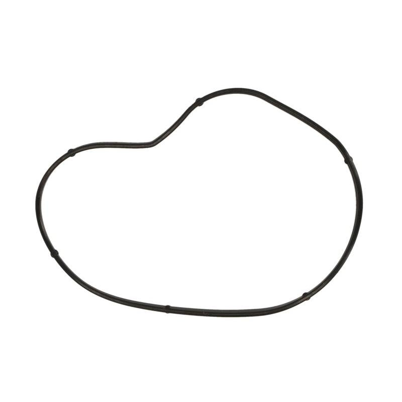AJUSA AJU01099900 Water Pump Gasket