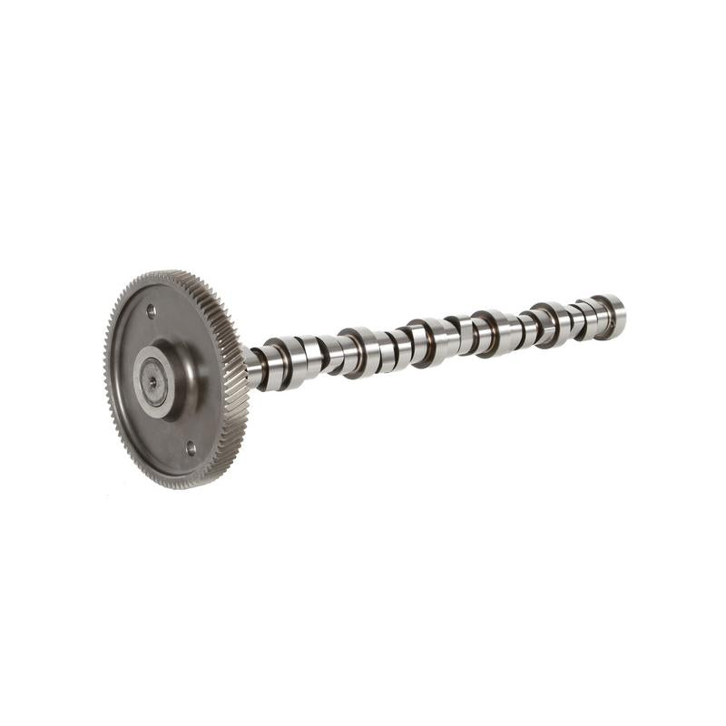 BF 20100390601 Camshaft