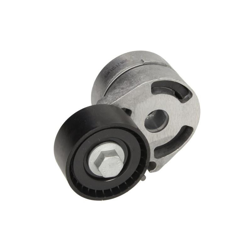 INA 534018010 V-Ribbed Belt Tensioner Lever