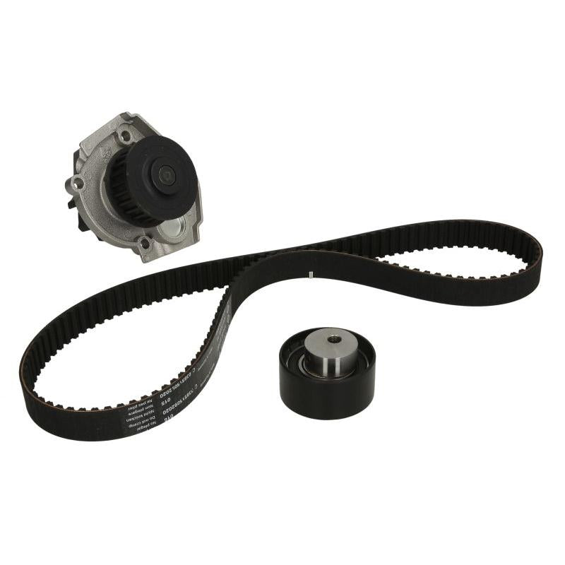 INA 530022830 Water Pump & Timing Belt Kit