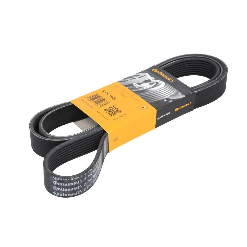 CONTITECH 8PK1960 V-Ribbed Belt