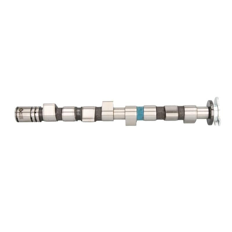 INA 428016610 Camshaft