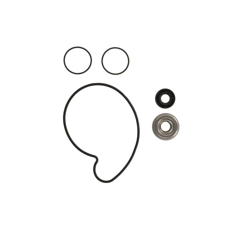 WINDEROSA W821001 Water Pump Repair Kit