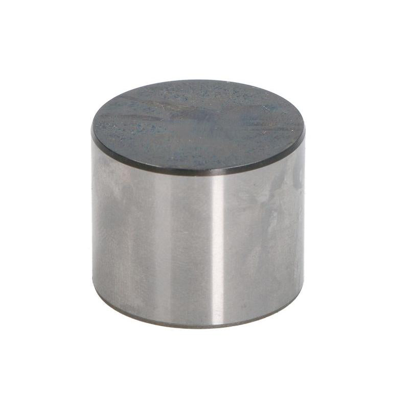 KOLBENSCHMIDT 50007956 Pushrod
