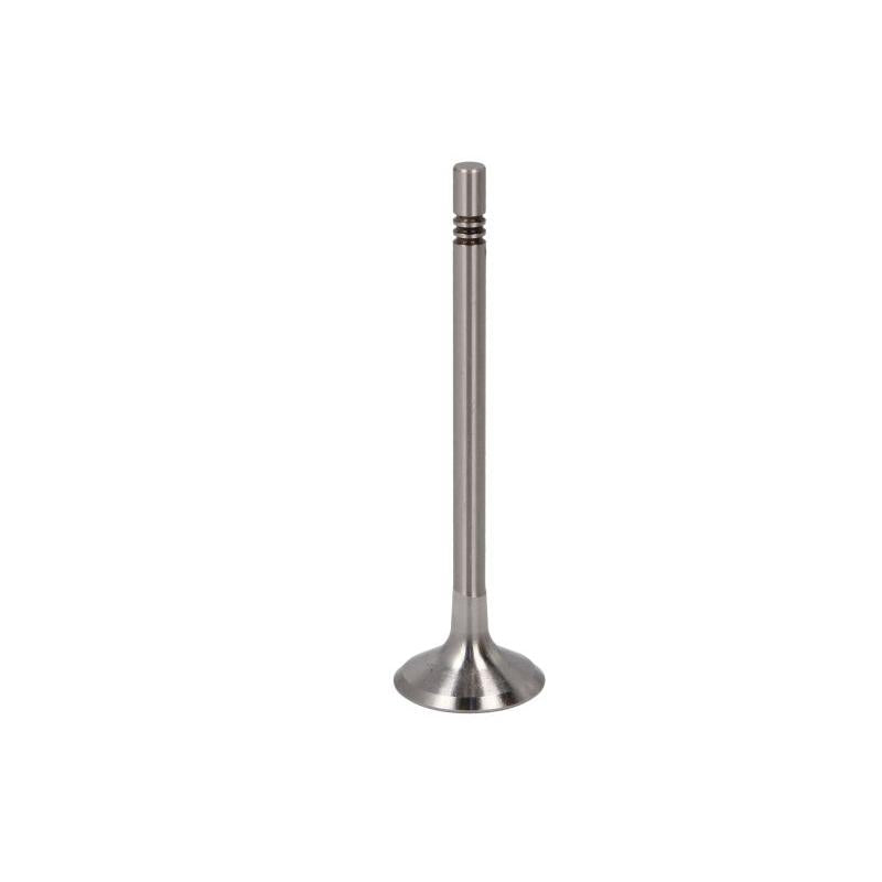 KOLBENSCHMIDT 331131 Intake Valve