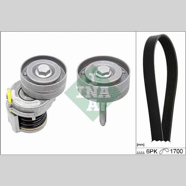 INA 529034110 V-Ribbed Belt Set