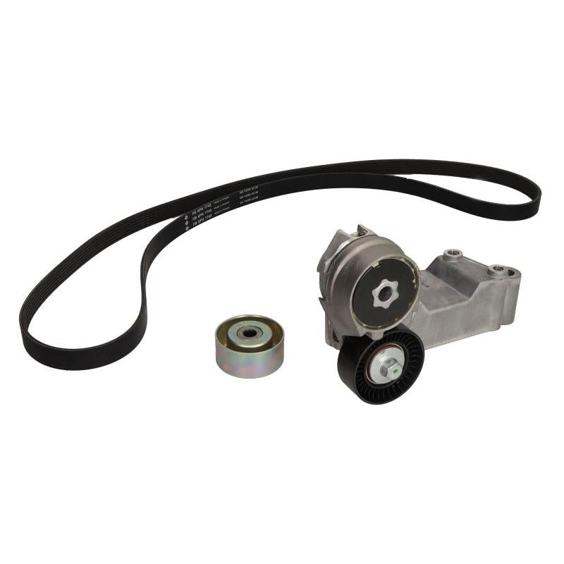 INA 529048910 V-Ribbed Belt Set