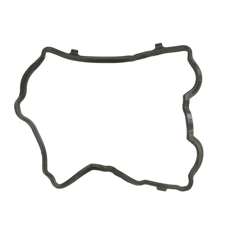 REINZ 71-20017-00 Cylinder Head Cover Gasket