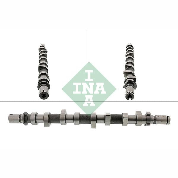 INA 428019810 Camshaft