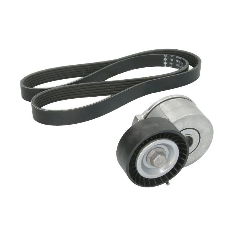 INA 529010510 V-Ribbed Belt Set