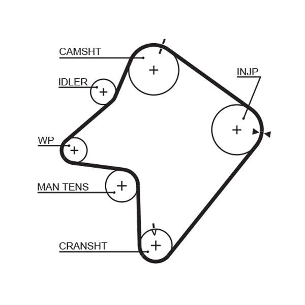 GATES GAT5354XS Timing Belt