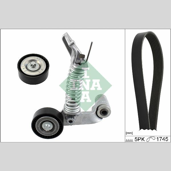 INA 529031910 V-Ribbed Belt Set