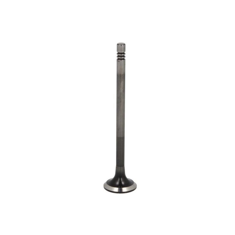 NE 148038001400 Exhaust Valve