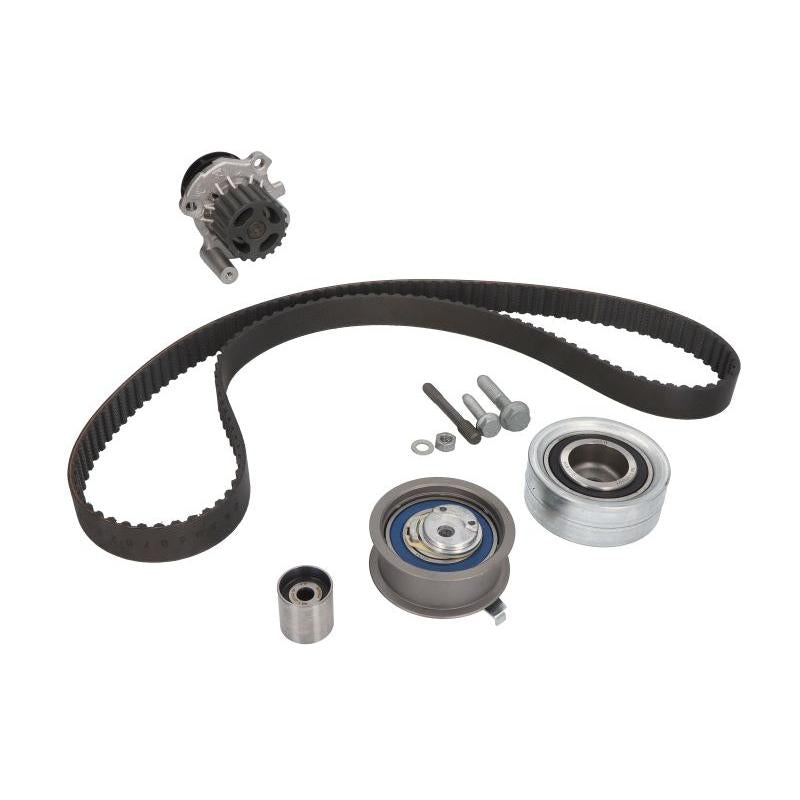 INA 530036131 Water Pump & Timing Belt Kit