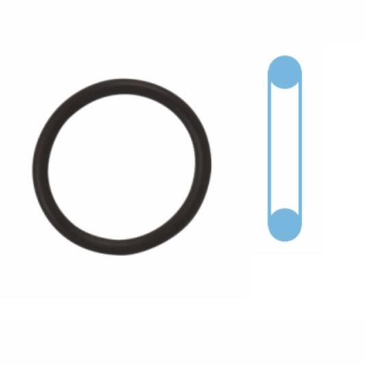 CORTECO CO041118S Oil Sump Gasket