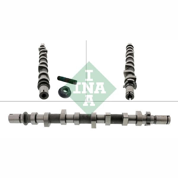INA 428025210 Camshaft