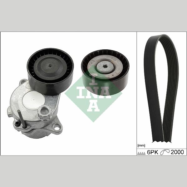 INA 529034310 V-Ribbed Belt Set